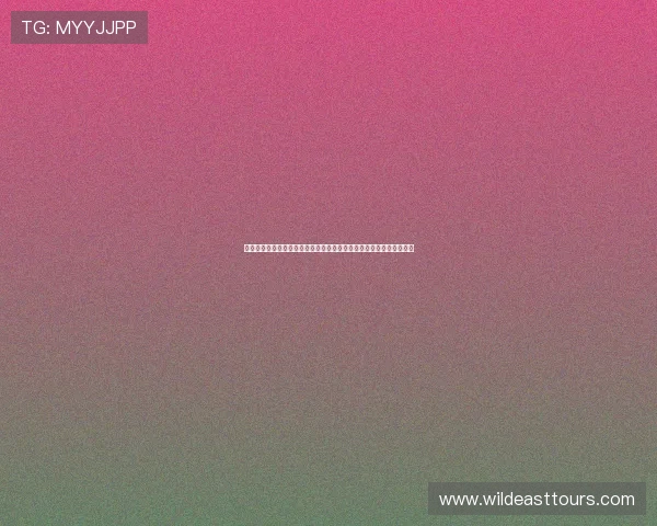 免费欧冠在线直播平台汇总高清流畅赛事全程观看指南实时更新不延迟