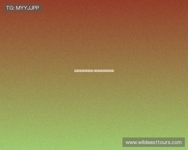 今日足球赛事预测推荐分析 最新热门比赛前瞻与投注建议