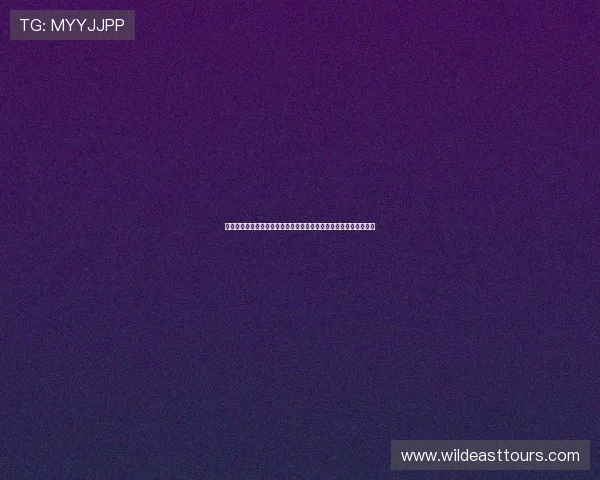 卓鼎风对决飞流巅峰智勇之战揭开江湖暗潮新篇章命运交锋再起风云