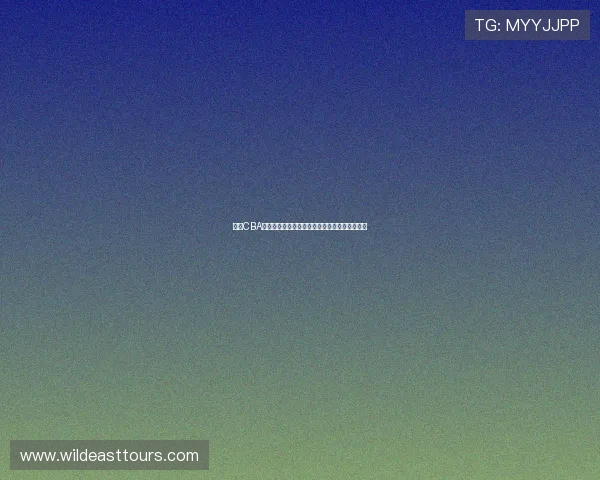 抖音CBA赛事直播间精彩呈现全程高清观看尽享篮球盛宴