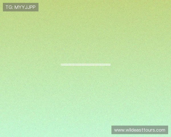 欢乐虎直播平台手机端下载到底畅享高清互动娱乐体验与精彩主播实时连线观看