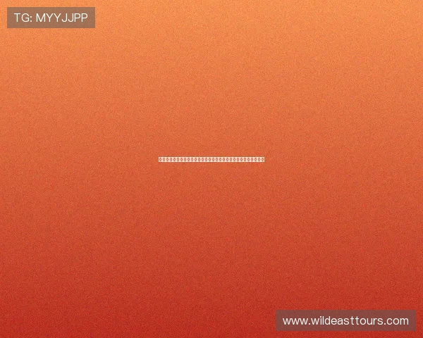 热门直播在线观看免费高清平台推荐与精彩内容全解析体验指南分享