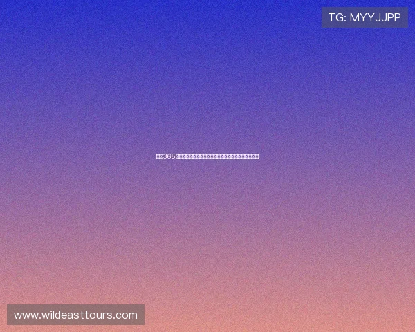 竞彩365足球比分直播全面解析及时更新助你掌握全球赛事动态