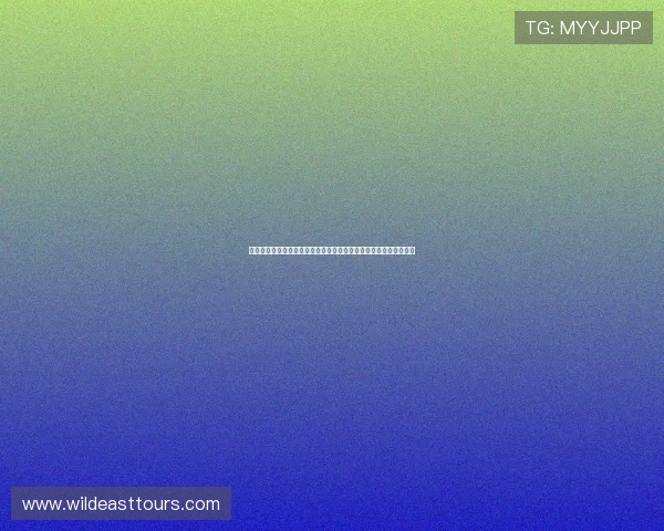 英超直播免费网站推荐畅看高清赛事实时更新平台权威稳定不卡顿源