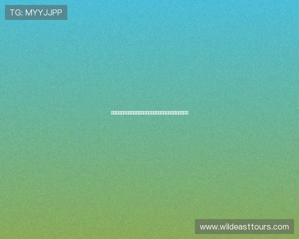 蜘蛛体育直播在线看免费版下载平台全面解析与使用指南最新功能介绍