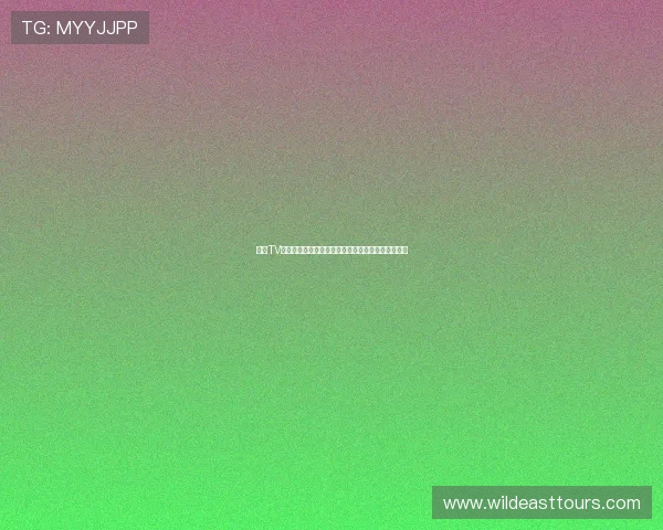 雨燕TV足球直播平台全新升级精彩赛事实时观看与互动体验