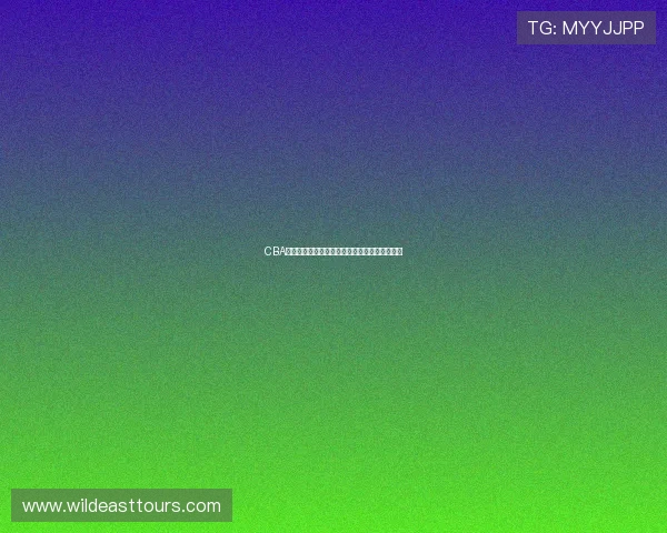 CBA篮球赛事直播高清视频免费观看平台全方位指南