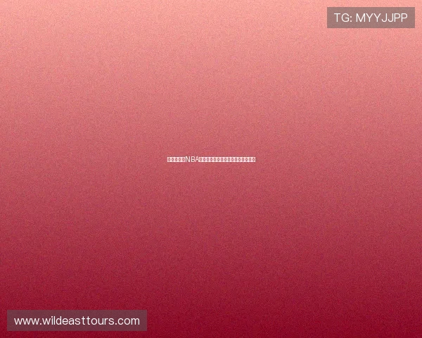 《畅享燕雨NBA高清直播体验全程无延迟精彩赛事》