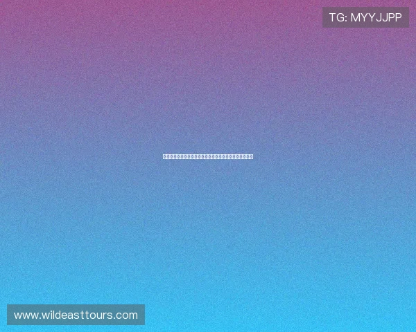 九球足球赛事直播免费提供精彩体育直播全程跟踪实时更新