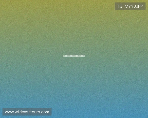 九州体育足球直播平台推荐及其特点分析