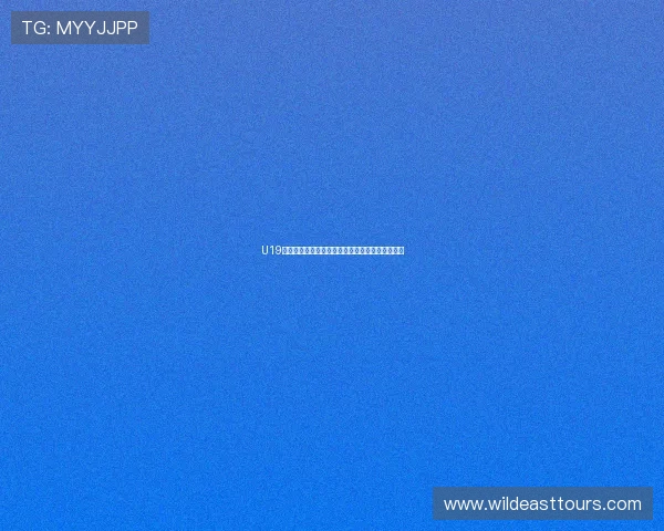 U19比赛精彩直播：年轻球员们的巅峰对决与成长之路