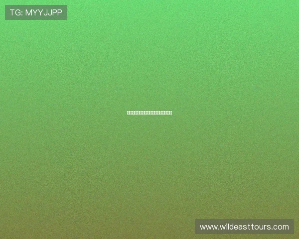 维彩看球直播平台推荐及观看方法全解析