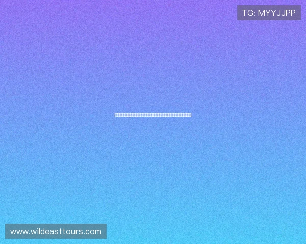 速播免费观看完整版高清影视资源每日更新畅享热播电影电视剧精选