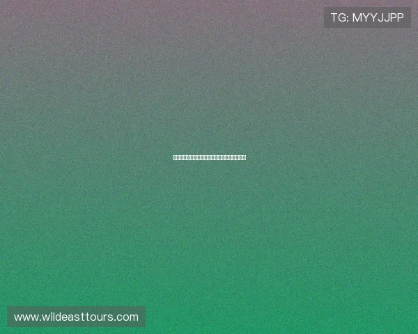 高清直播足球赛事尽享爱看球平台流畅观看体验